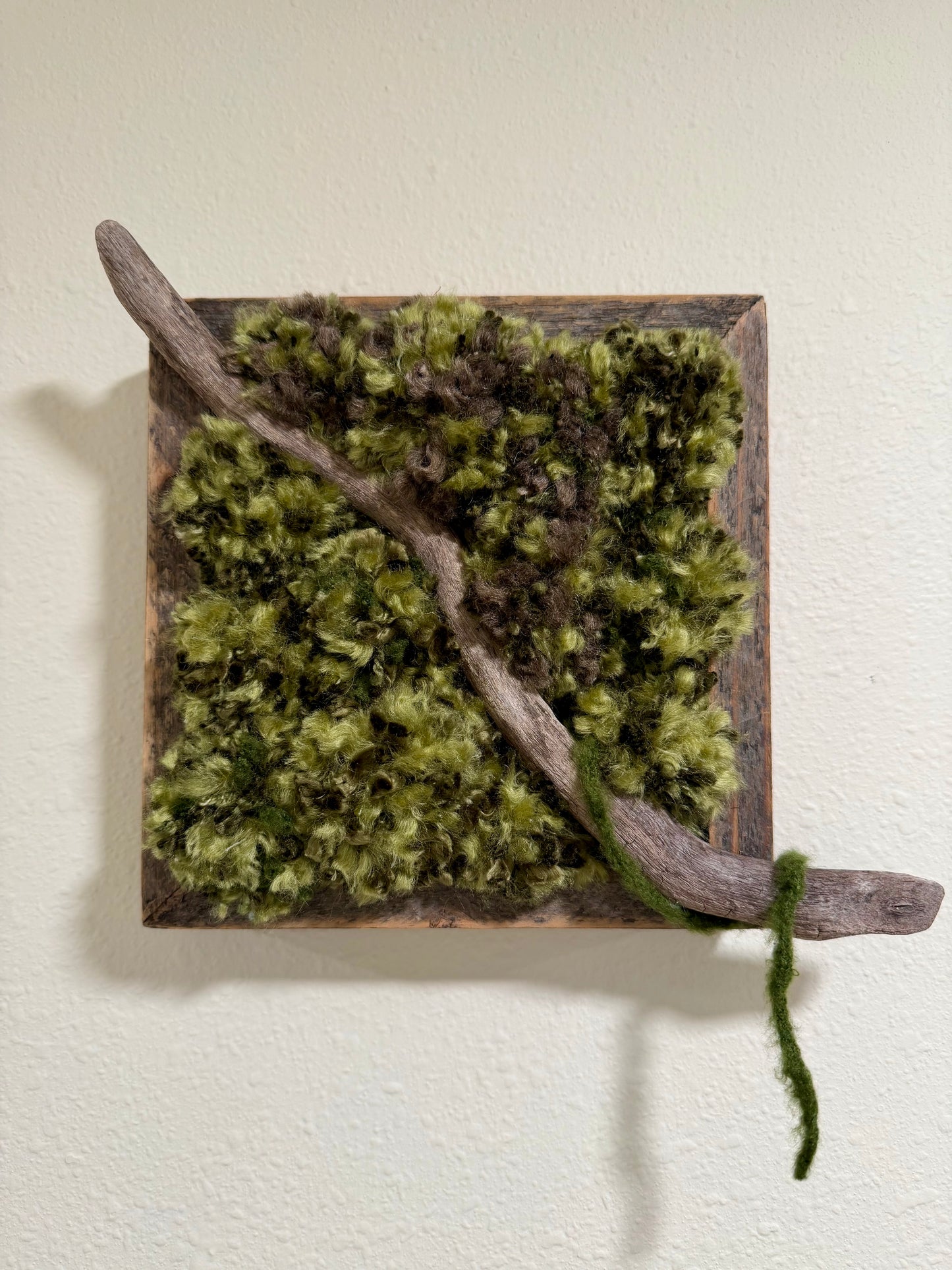 Drifting Through the Moss